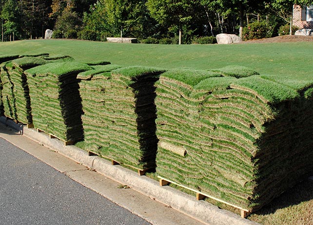 pallets of sod grass sod delivery